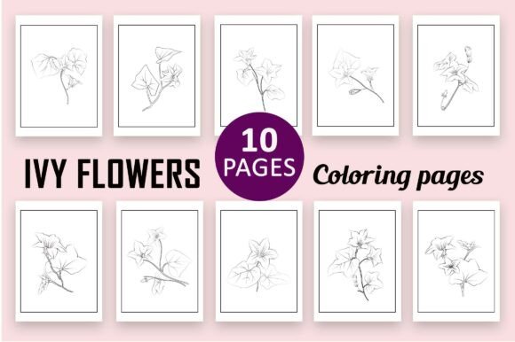 Ivy Flower Shilhoote Design Vector Art